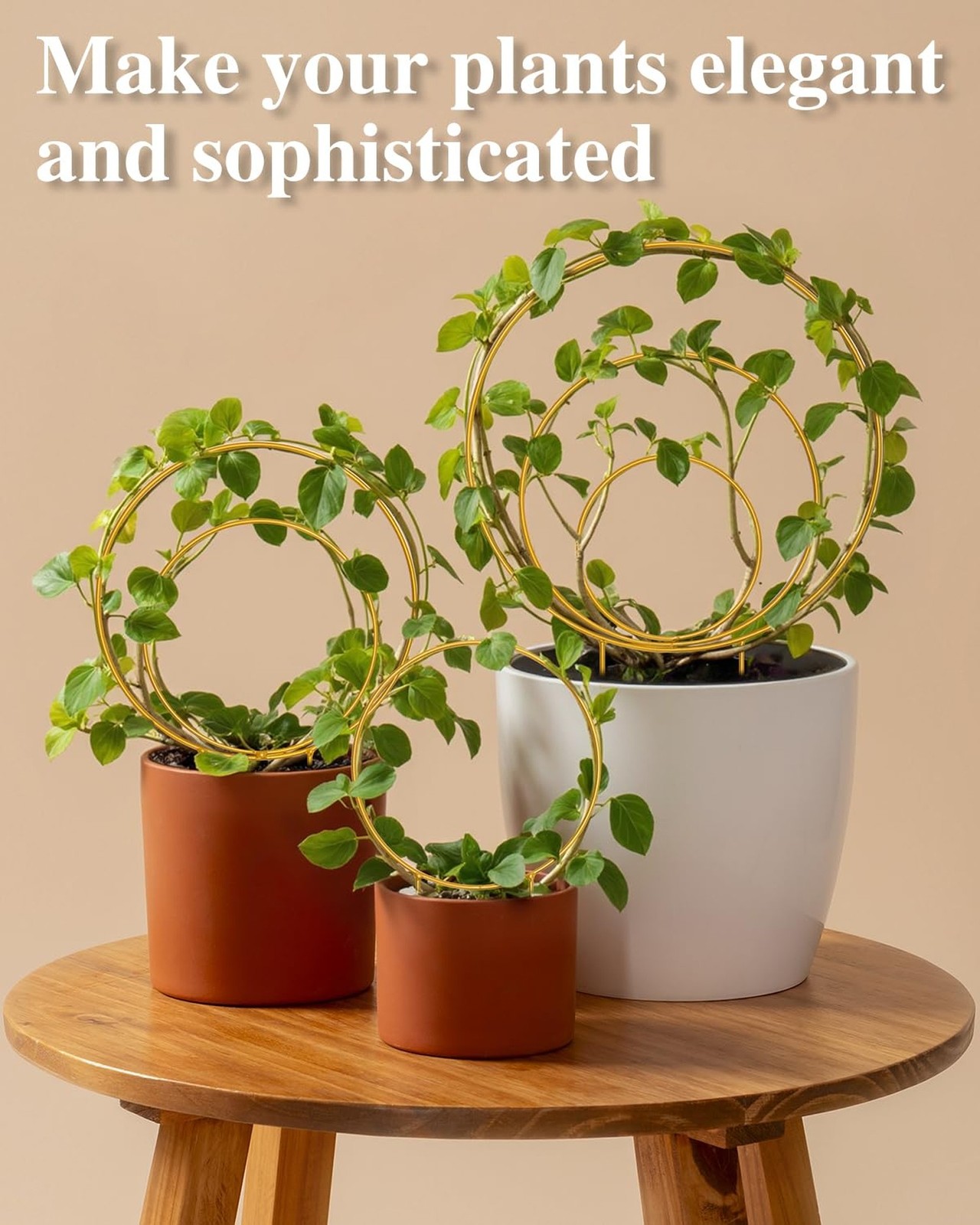 3 Pack Premium Round Plant Trellis Indoor, Small Metal Plant Support Stake fo…
