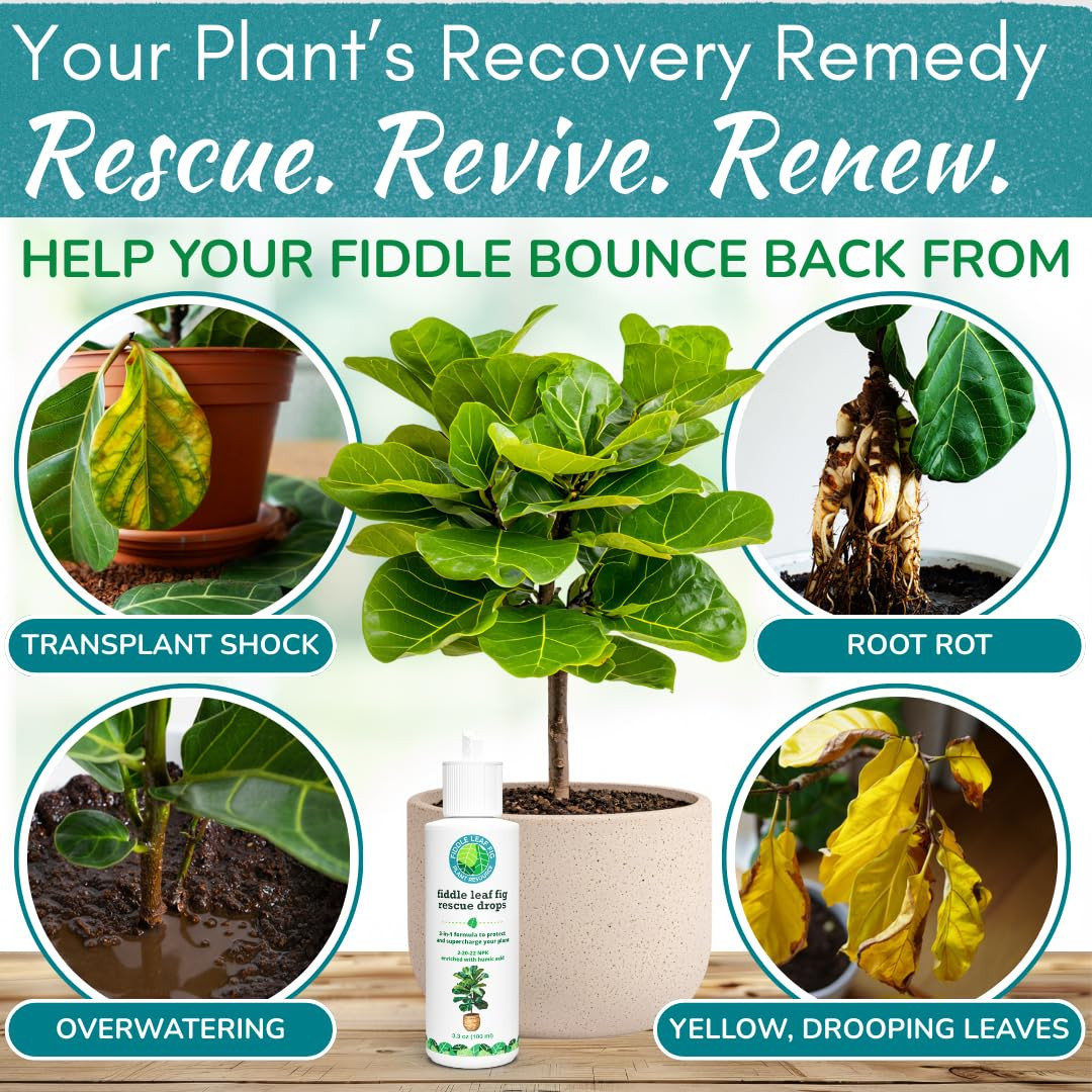 Fiddle Leaf Fig Rescue Drops – Treats Root Rot, Brown Spots, Leaf Drop & Stress