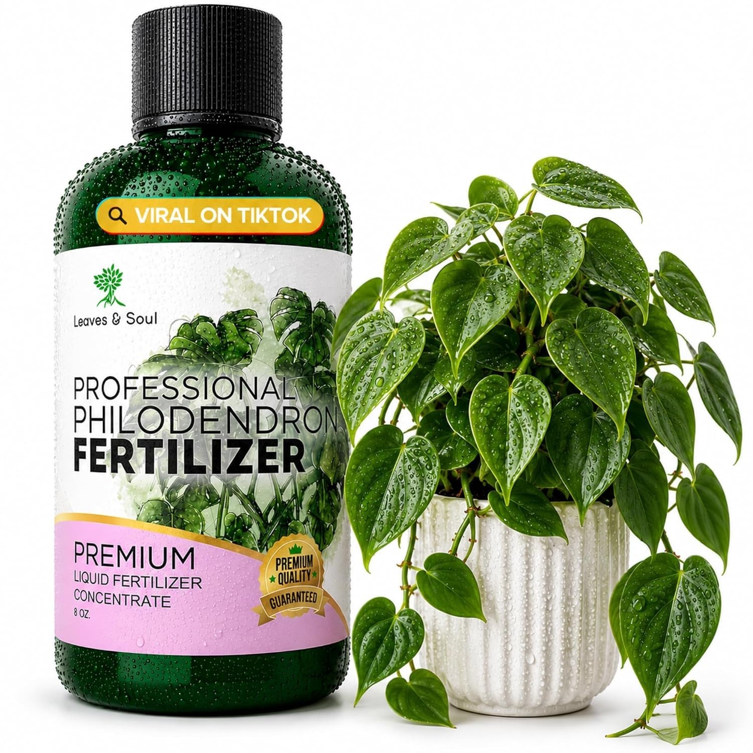 Professional Philodendron Fertilizer Liquid 3-1-2 Concentrate 8 oz, Philoden…