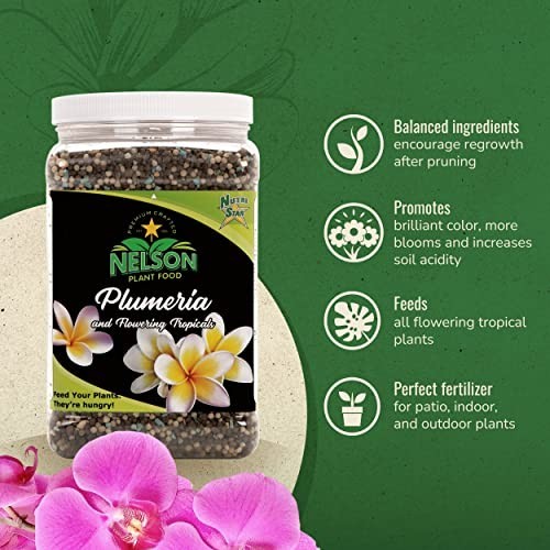 Plumeria Plant & Flowering Tropical Fertilizer 5-30-5 for In-Ground & Container