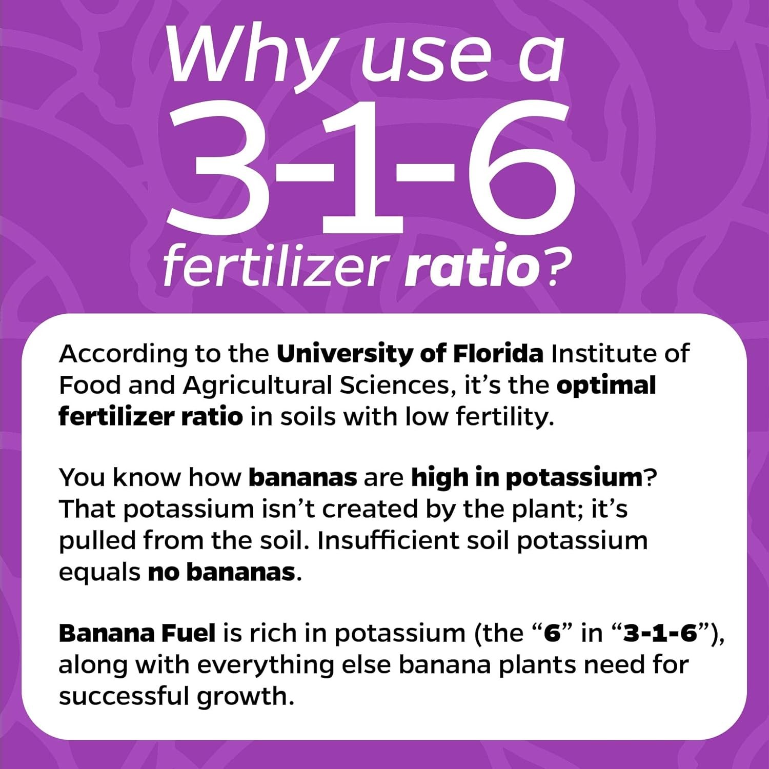 Banana Fuel Liquid Fertilizer – Plant Fertilizer Concentrate – Plant Food