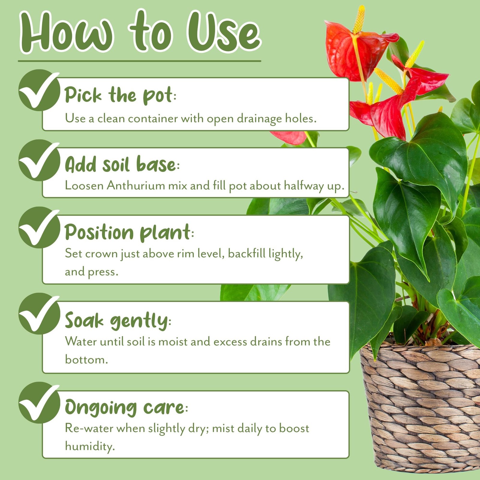 Soil Sunrise Anthurium Plant Potting Soil Mix (4 Quarts) Indoor Houseplant Cu…