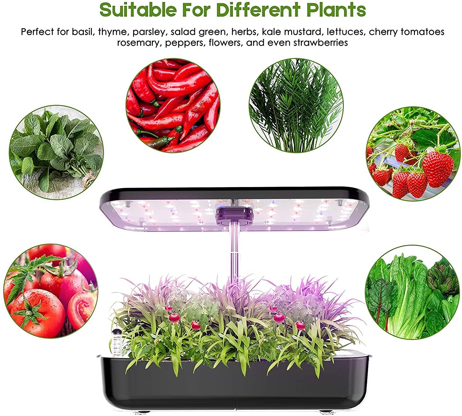 Hydroponics Growing System Accessories A+b Plant Food Suitable For Most Hydropon
