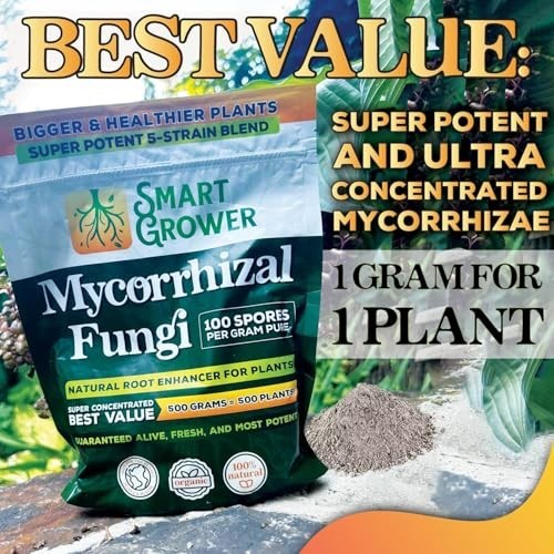 Organic Mycorrhizal Fungi Root Enhancer – 100 Spores/g, 5 Strain Blend, 250g for