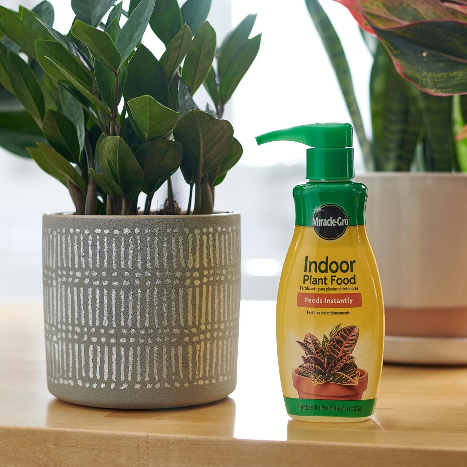 Miracle-Gro Indoor Plant Food – 2-Pack Liquid Solution for All Houseplants