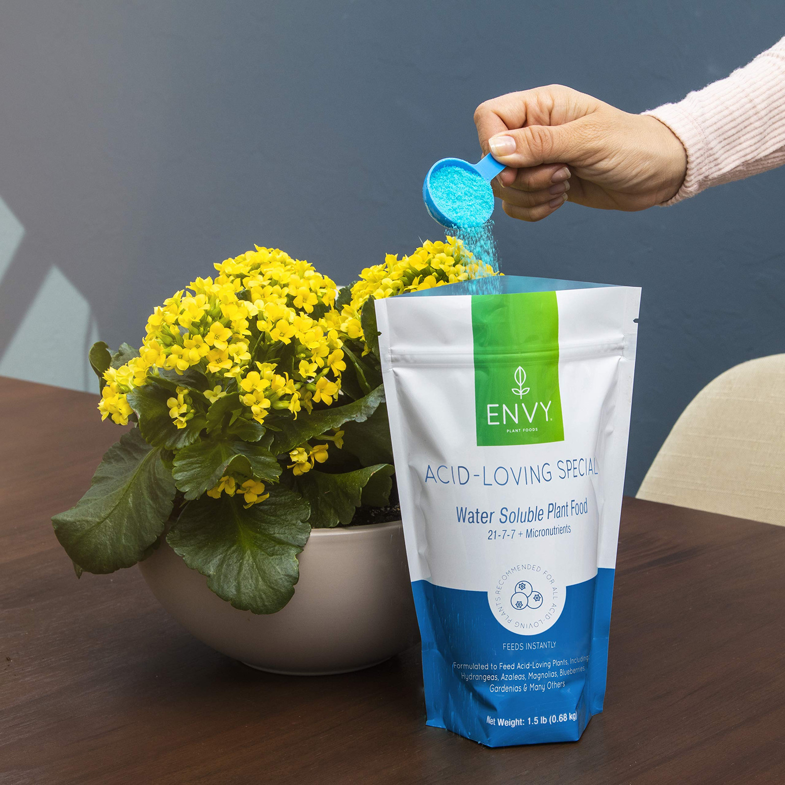 Plant Foods Acid-Loving Special (21-7-7) Water Soluble Hydrangea, Azalea, & B…