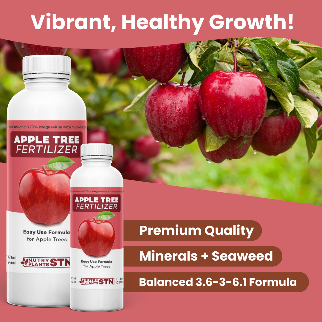 Apple Tree Fertilizer for All Apple Pear Nut Fruit Trees Liquid Plant Food 8 oz