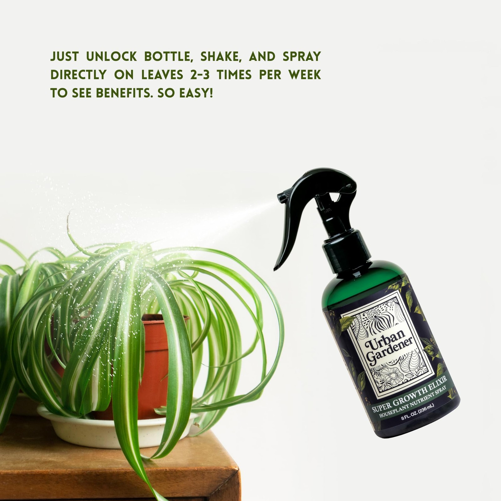 Organic Leaf Wellness Spray for Plants – Protect & Nourish Your Plants w/Chit…
