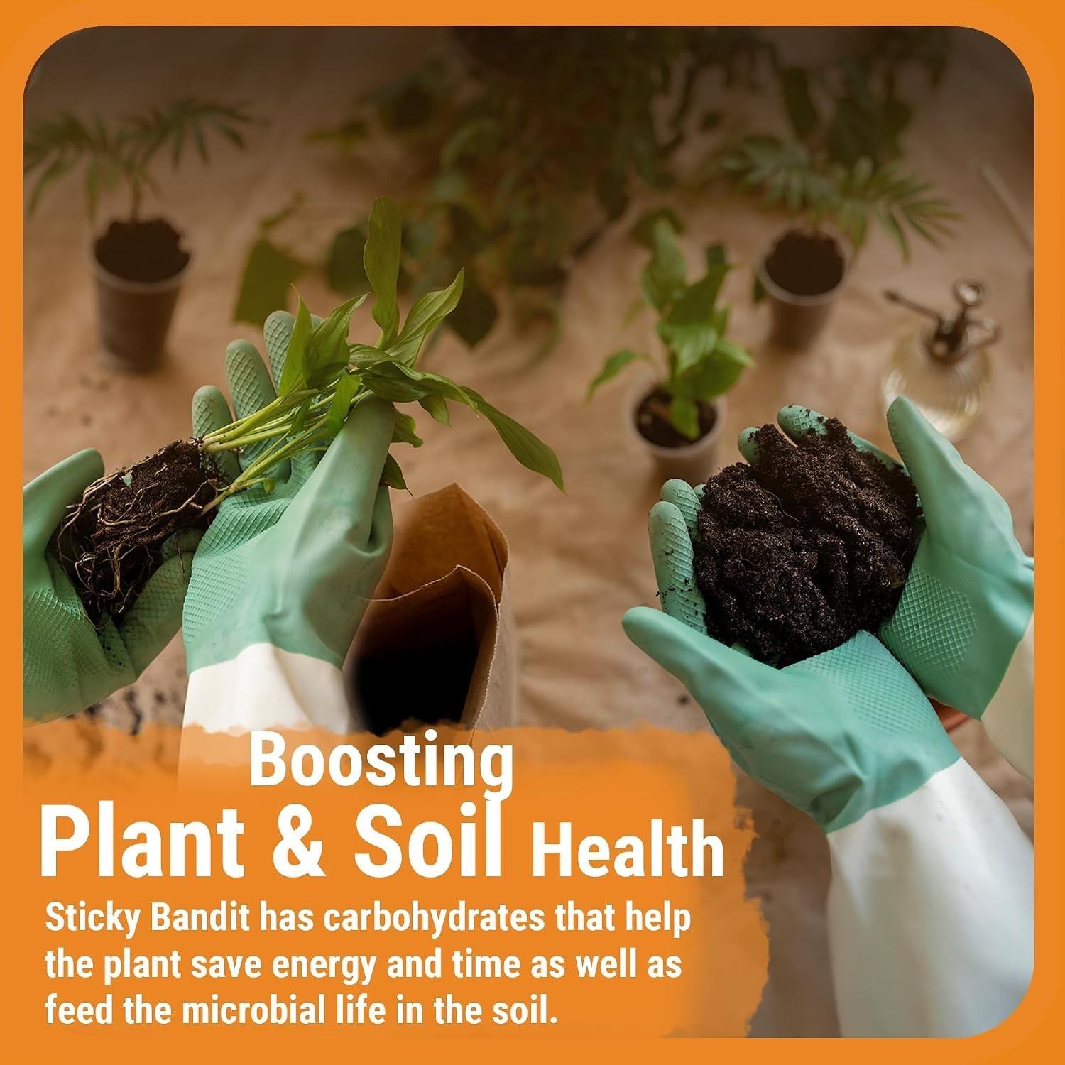 Versatile 1L Plant Fertilizer for Hydroponics & Soil – Boosts Aroma & Taste