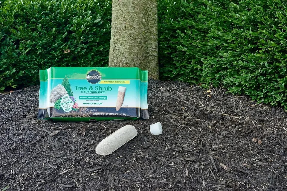 Miracle-Gro 4851012 12-Count Pack of Tree & Shrub Plant Food Fertilizer Spikes