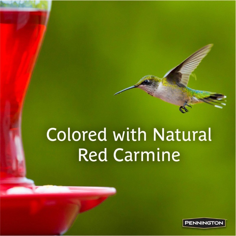 Pennington Ready-to-Use Ultra Hummingbird Nectar Food, No Artificial Dye, 1 Pack