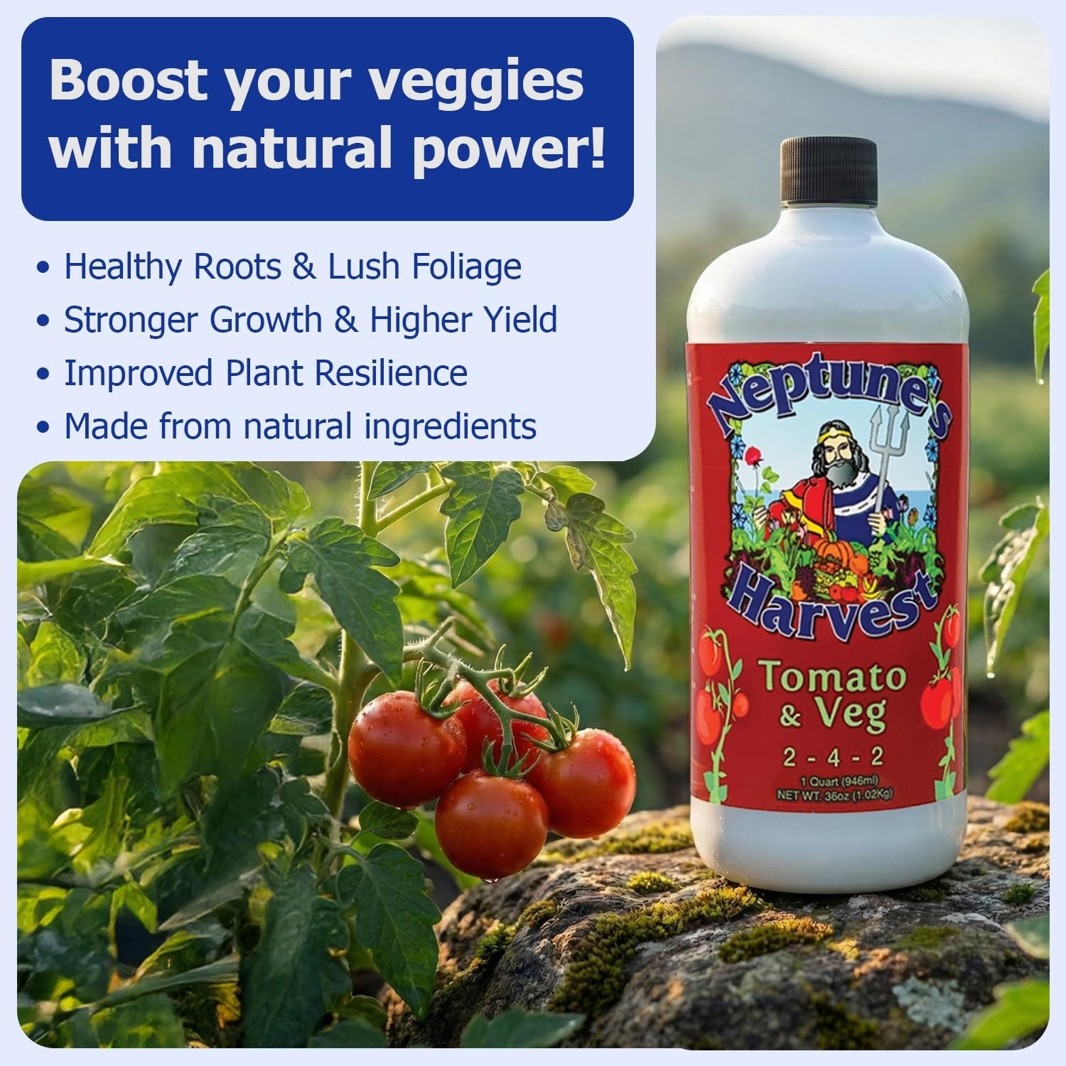 Organic Tomato & Vegetable Fertilizer 2-4-2 Liquid Plant Food – Fish, Seaweed, M