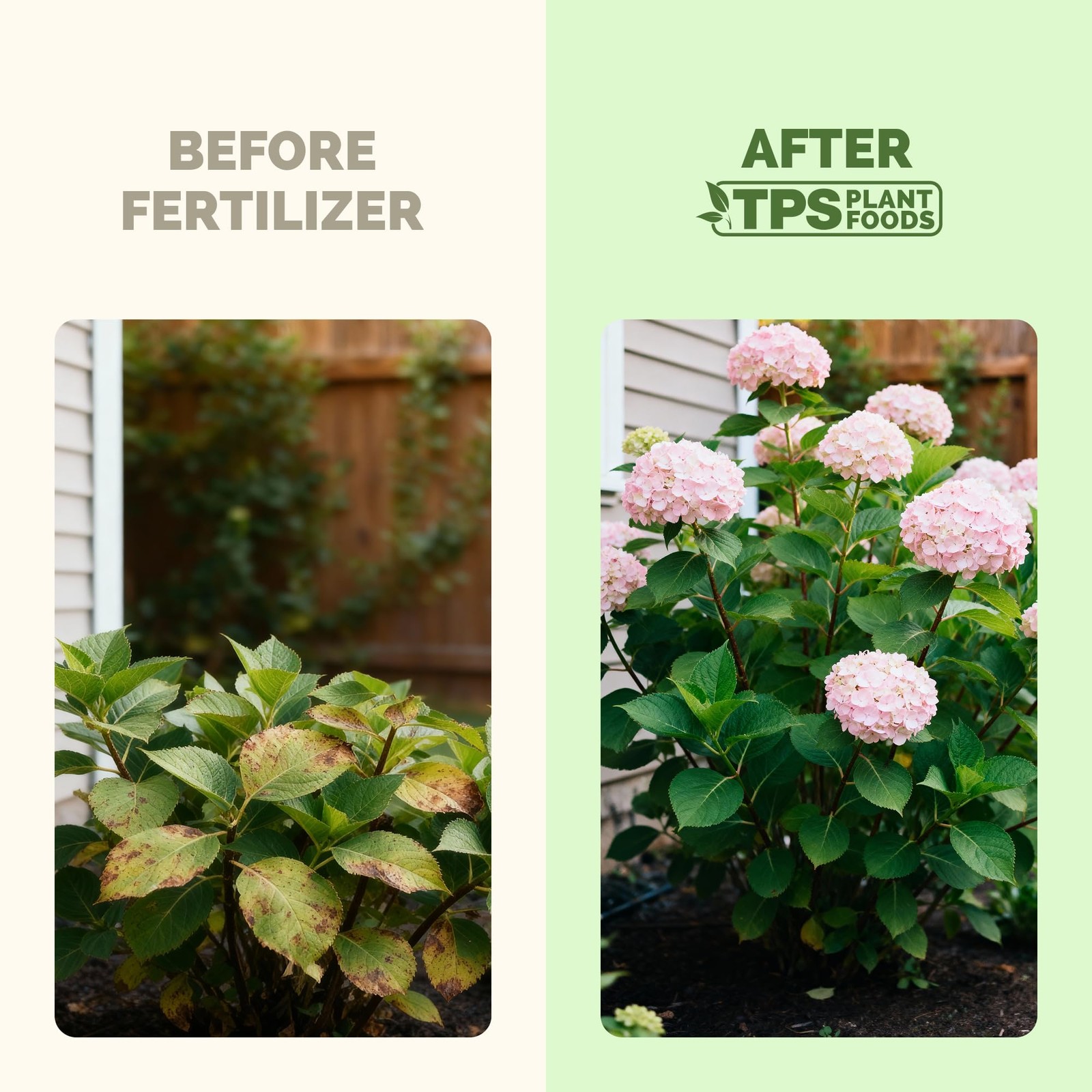 Hydrangea Fertilizer – Liquid Plant Food for Bigger Blooms, 32 oz (1 Quart)