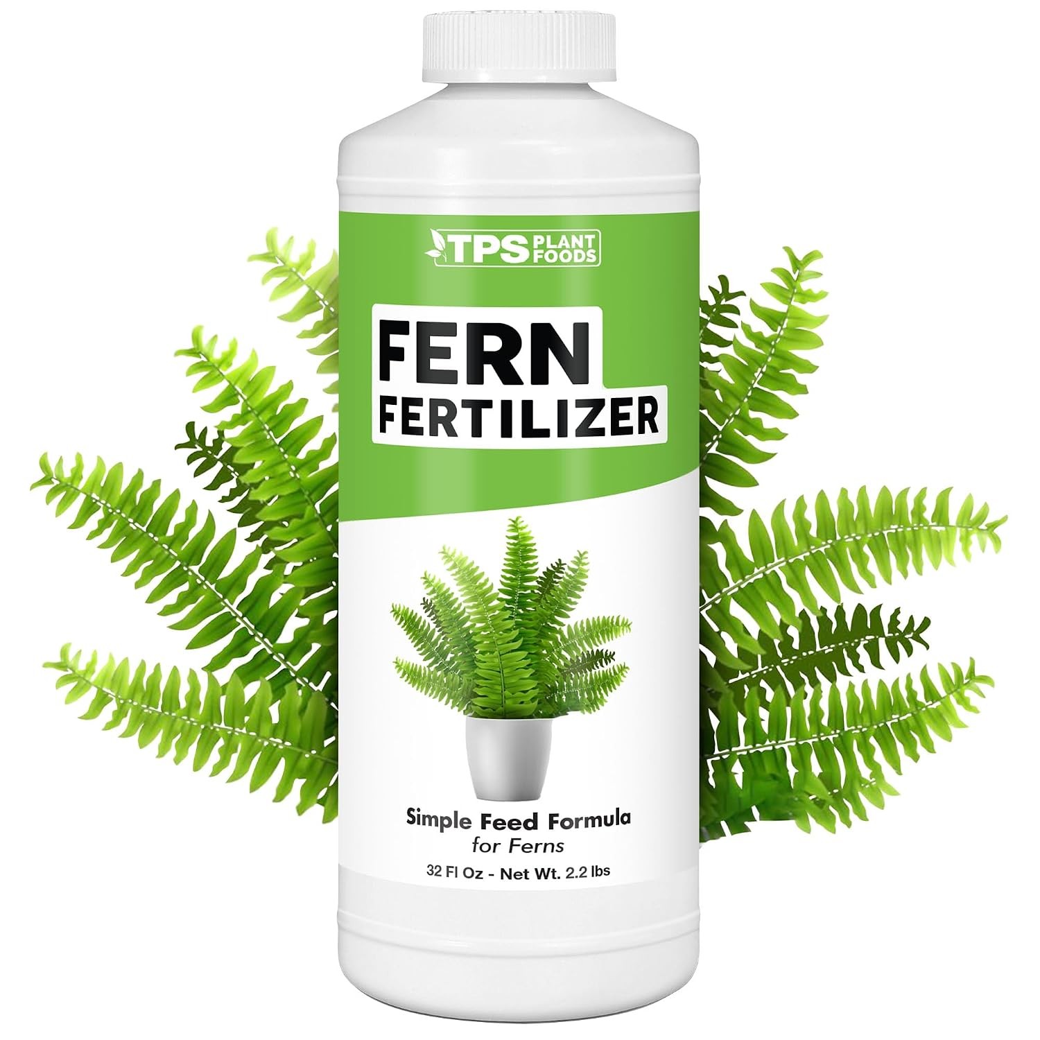 Fern Fertilizer – Liquid Plant Food for Fuller Fronds Deep Green Color & Lush