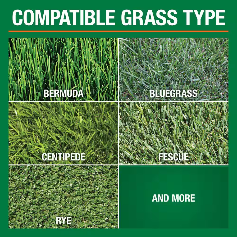 16 Lbs. 5,000 Sq. Ft. Starter Fertilizer for Growing New Grass
