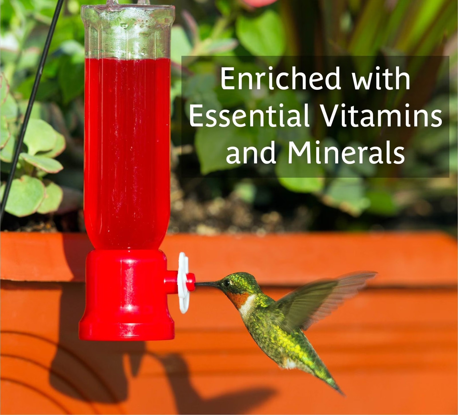 (3 pack) Ready-to-Use Ultra Hummingbird Nectar Food, No Artificial Dye, 64 fl oz