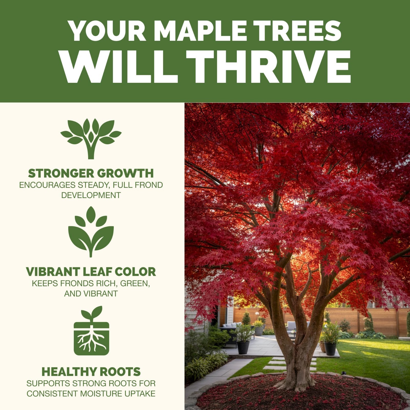Liquid Maple Tree Fertilizer – Plant Food for Vibrant Color & Strong Roots, 32 o