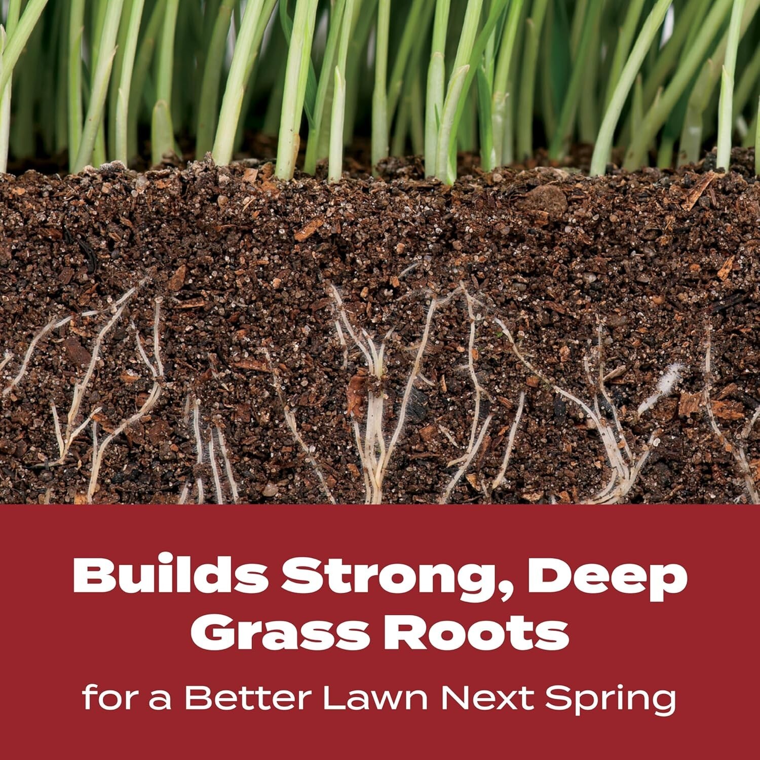 Nutrient-Rich Turf Builder WinterGuard for All Grass – 12.5 lbs, 5,000 sq. ft.