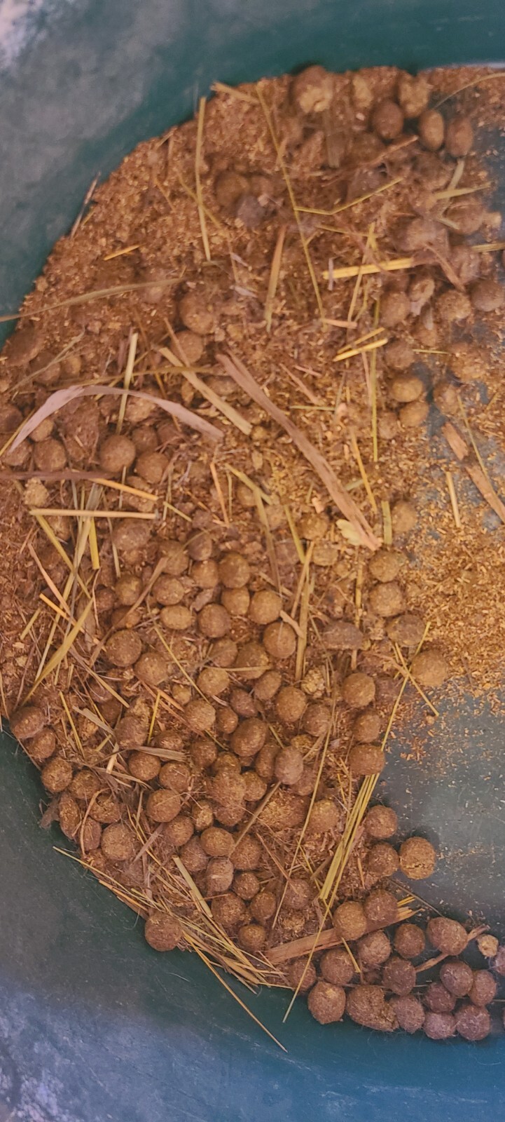 3 1bs Pound Poop Pellet Manure Organic Garden Fertilizer