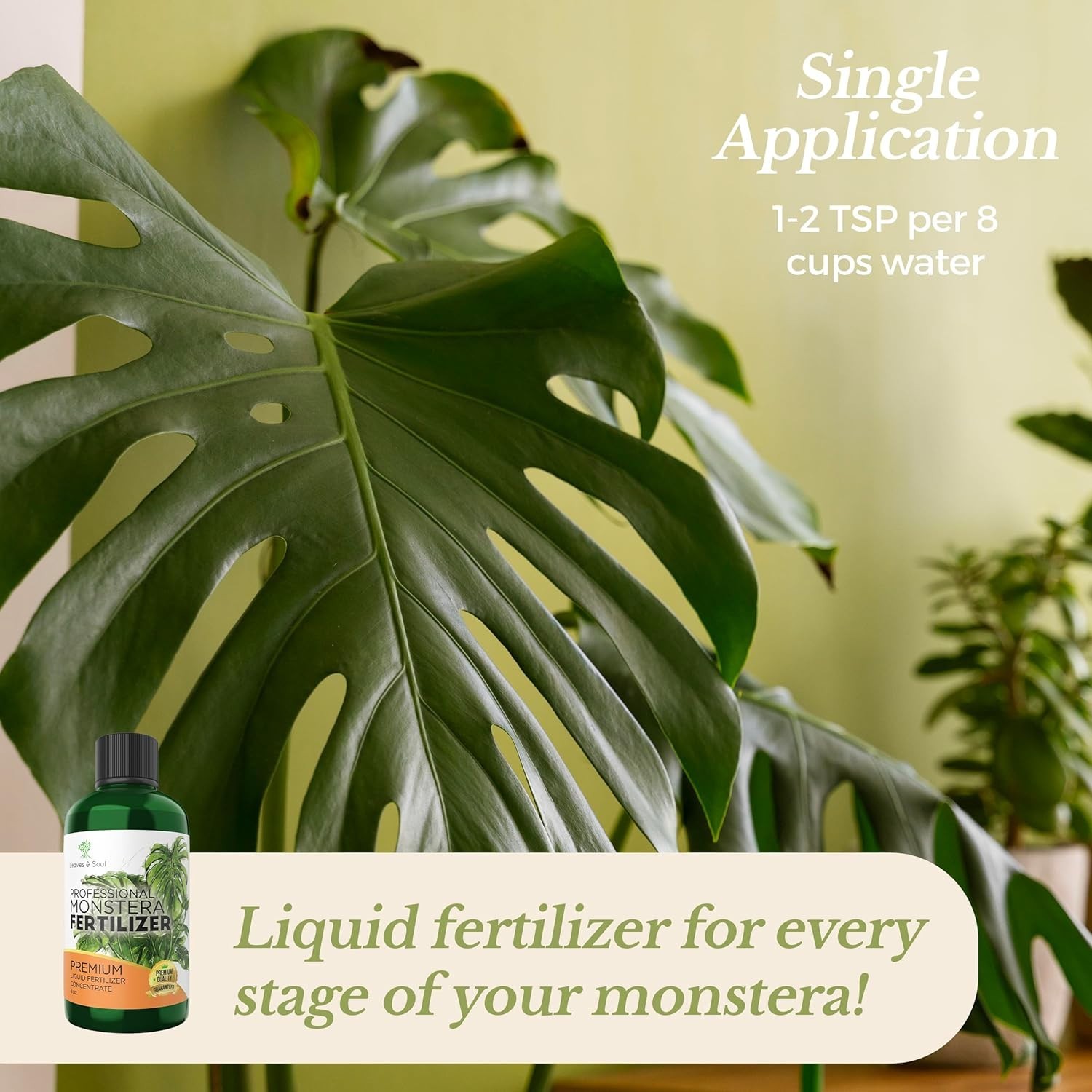 Guaranteed Monstera Plant Fertilizer – 8 Oz of 3-1-2 Nutrients & Growth Vitality