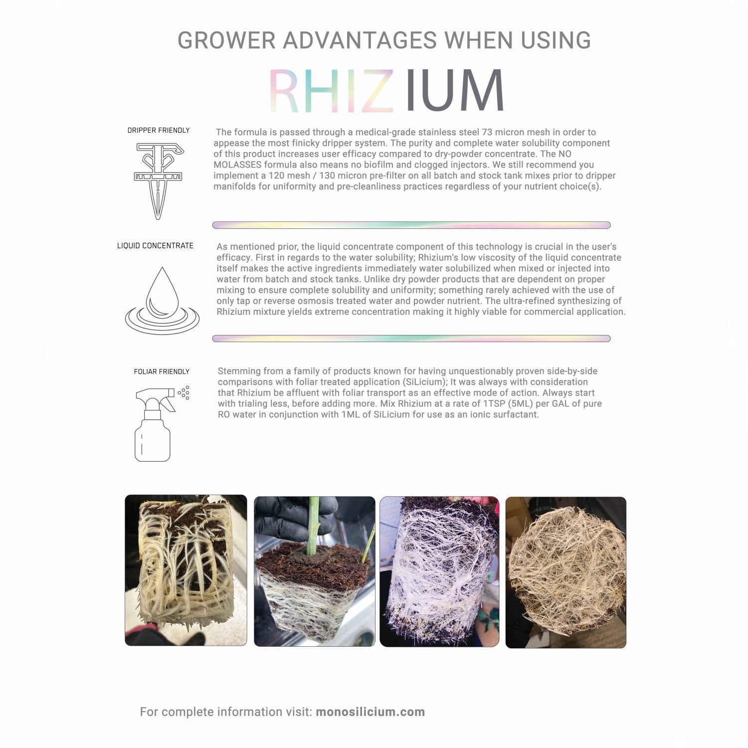 Rhizium – For Strong Root Systems and Decreased Root Diseases 500 ml by SiLicium
