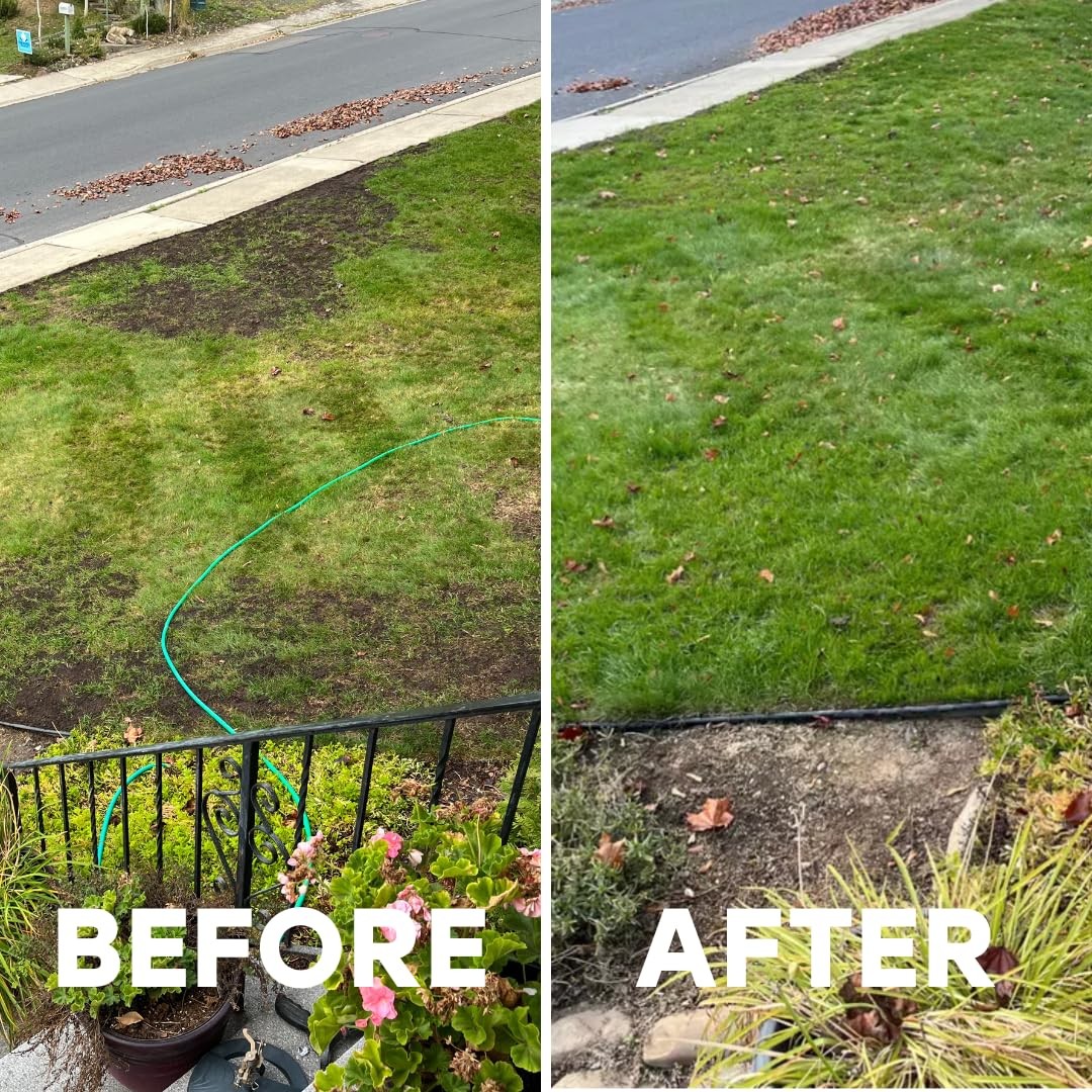 Total Lawn by – Kids & Pet Safe – Phosphorus Free Liquid Fertilizer for Any Gras