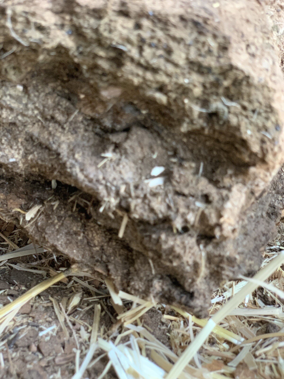Goat Fertilizer Natural Organic Dry Aged Composted Fertilizer
