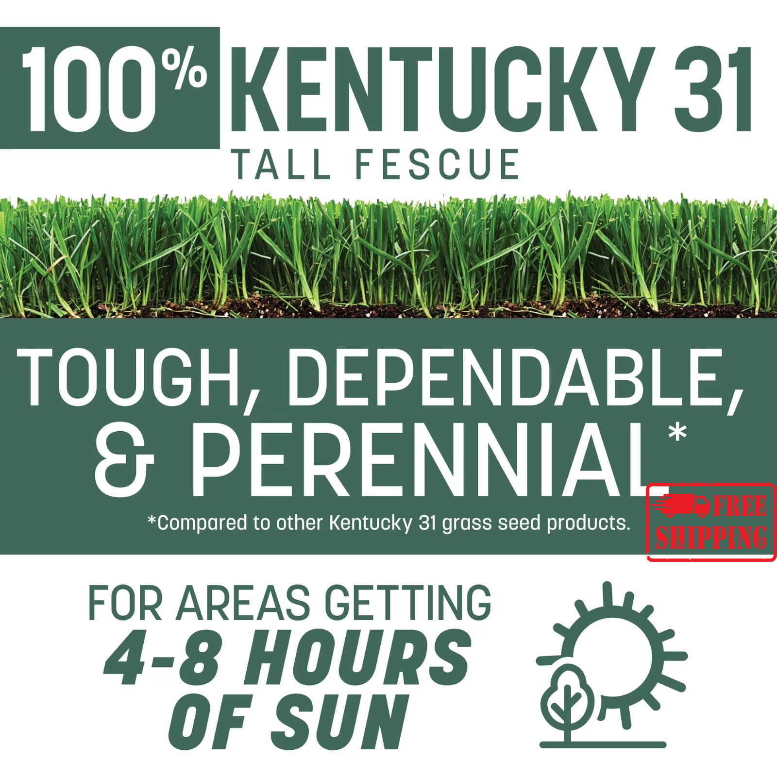 Pennington Kentucky 31 Tall Fescue Grass Seed 20 lb Sun Partial Shade Lawn