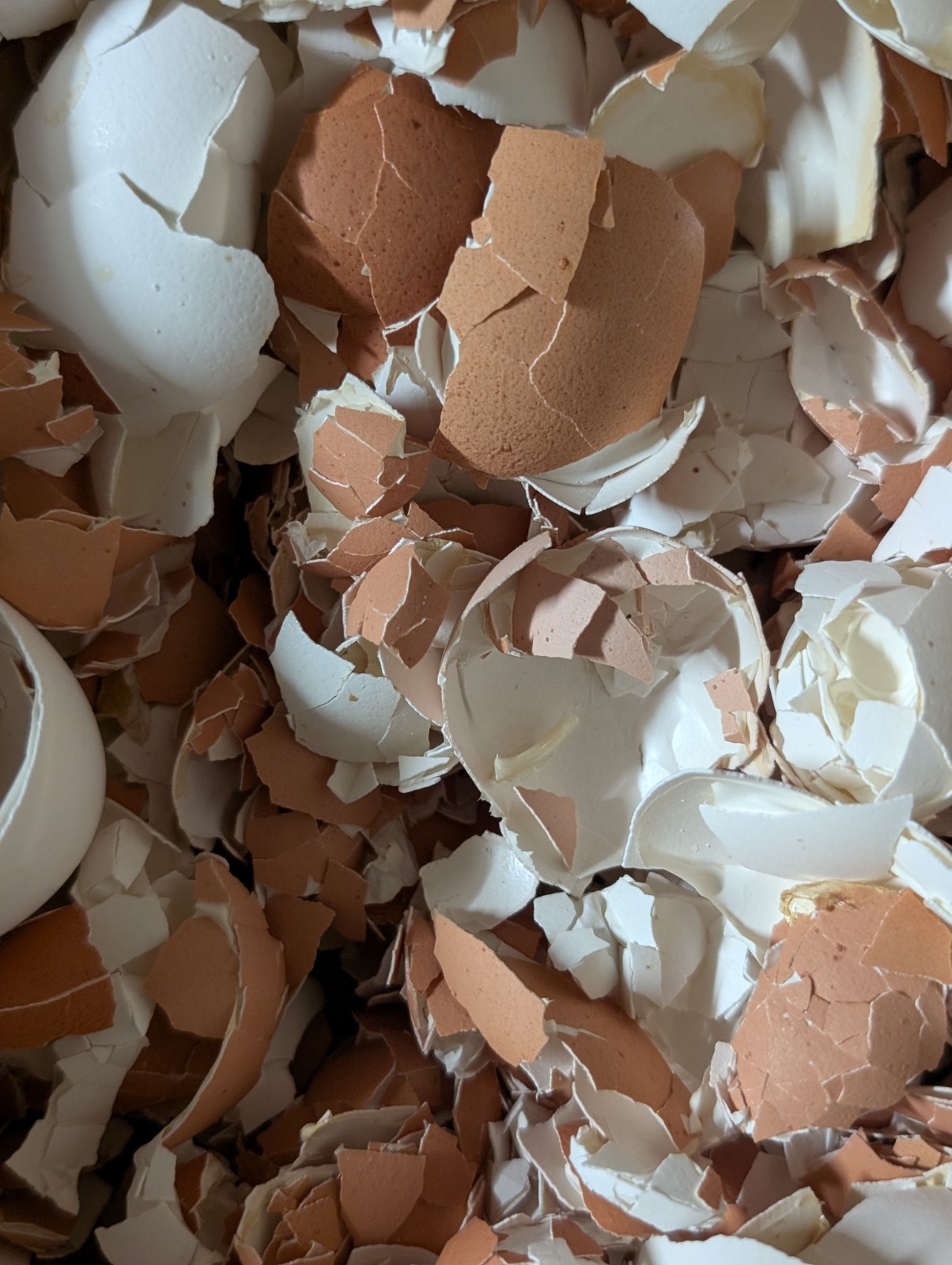 Home Made Egg shell powder use as Fertilizer or for all animal supplement 15 oz