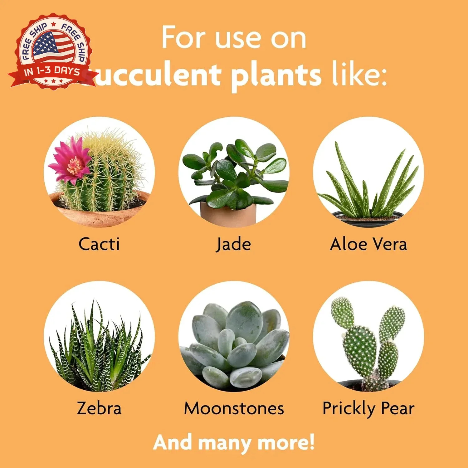 Miracle-Gro Succulent Plant Food – Liquid Fertilizer for Succulents and Cacti in