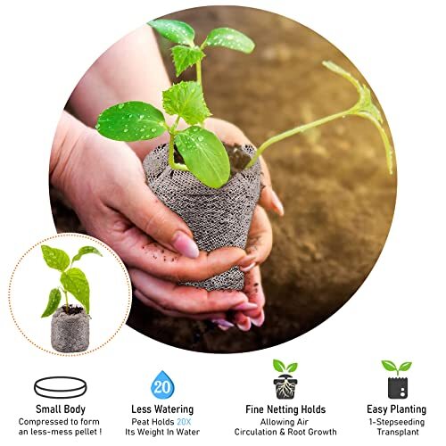 50 PCS 30mm Peat Pellets Starter Compressed Pods for Planting Flower Vegetable