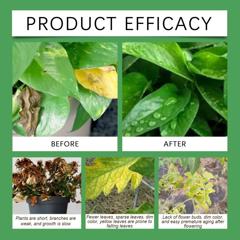 Concentrated Liquid Plant Growth Stimulator Flowers and Plant Rooting Agent 50ml