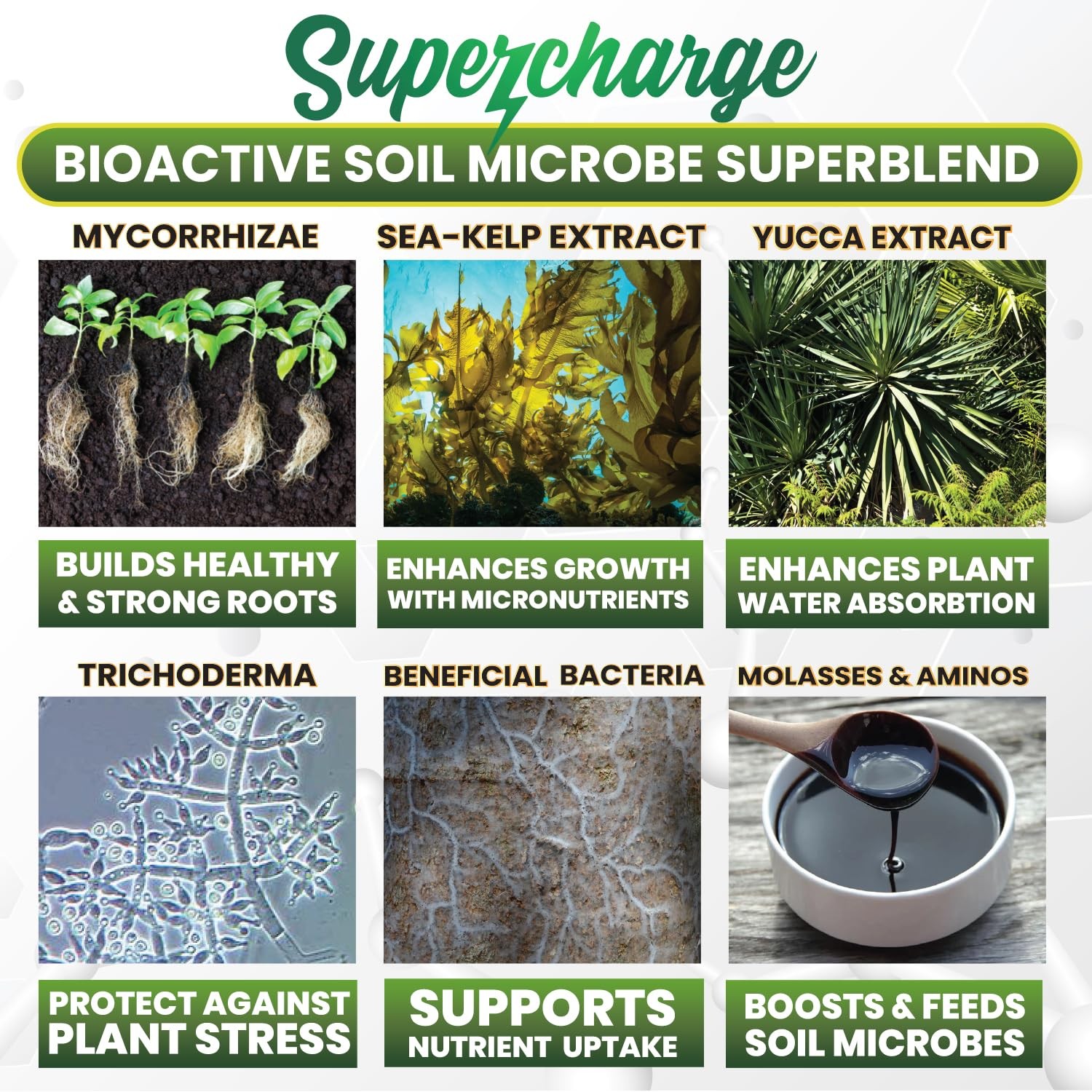 Mycorrhizal Fungi with Beneficial Bacteria, Trichoderma, Sea Kelp, Molasses, …