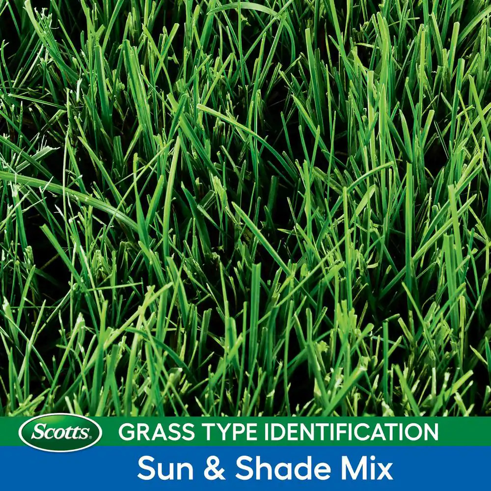 Turf Builder Grass Seed Annual Program Sun and Shade Mix for Large Lawns (Includ