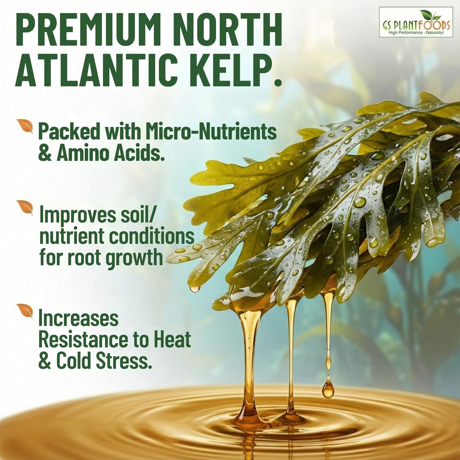 GS Plant Foods Liquid Kelp Fertilizer – Suitable for Organic Growing, OMRI Liste