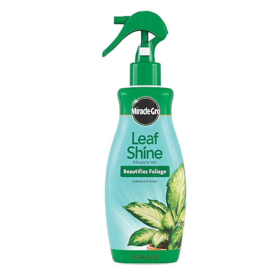 Miracle Gro 8 fl oz Leaf Shine