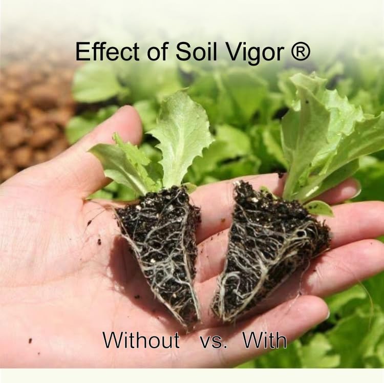 Potassium Super Absorbent Polymers: Moisture and Fertilizer Retention for Pla…