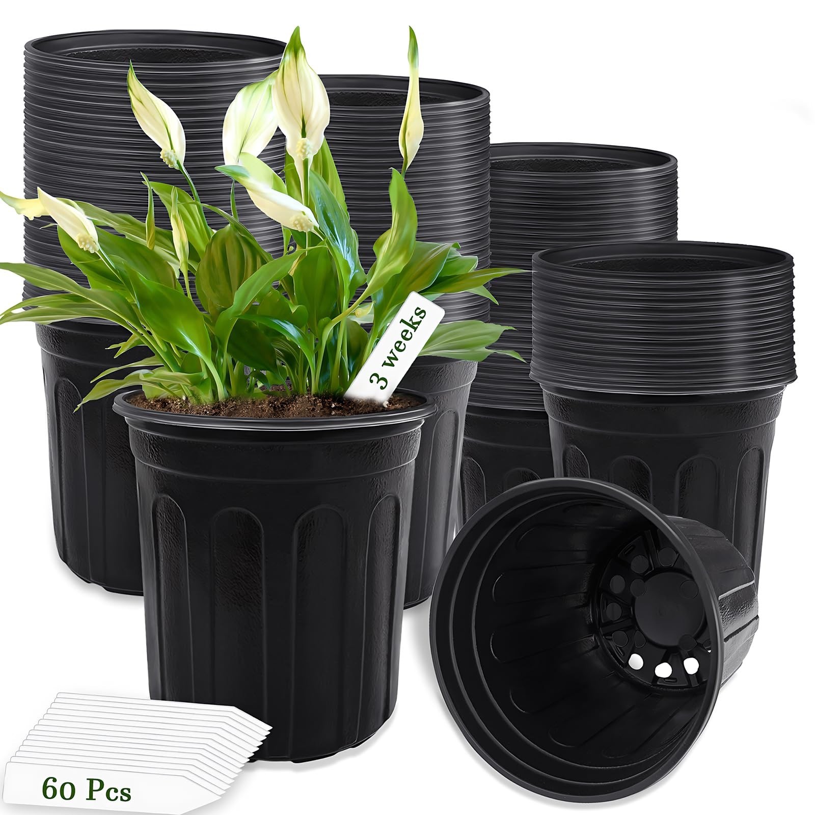 Qyyiguf 60 Pcs 1 Gallon Plant Nursery Pots,Plastic Pots with Drainage Holes,G…