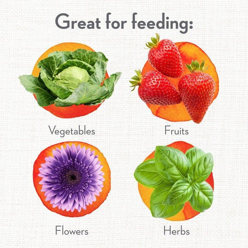Organic All-Purpose Plant Food 4lb Whitney Farms Boost Growth Abundant Blooms US