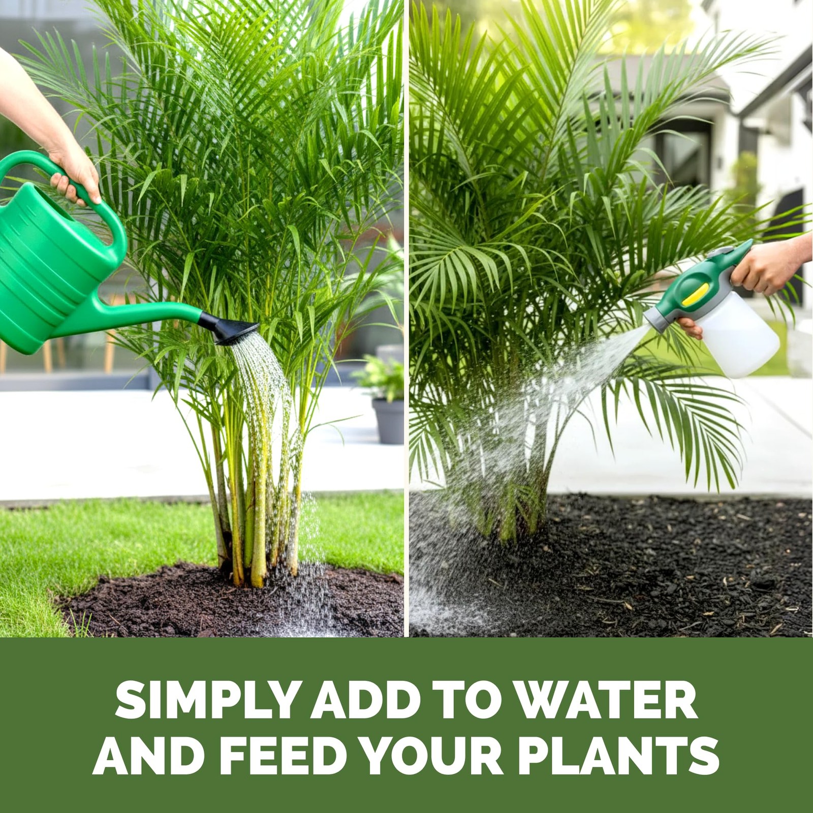 Palm Tree Fertilizer, Liquid Plant Food for Rich Green 8 oz (1/2 Pint)