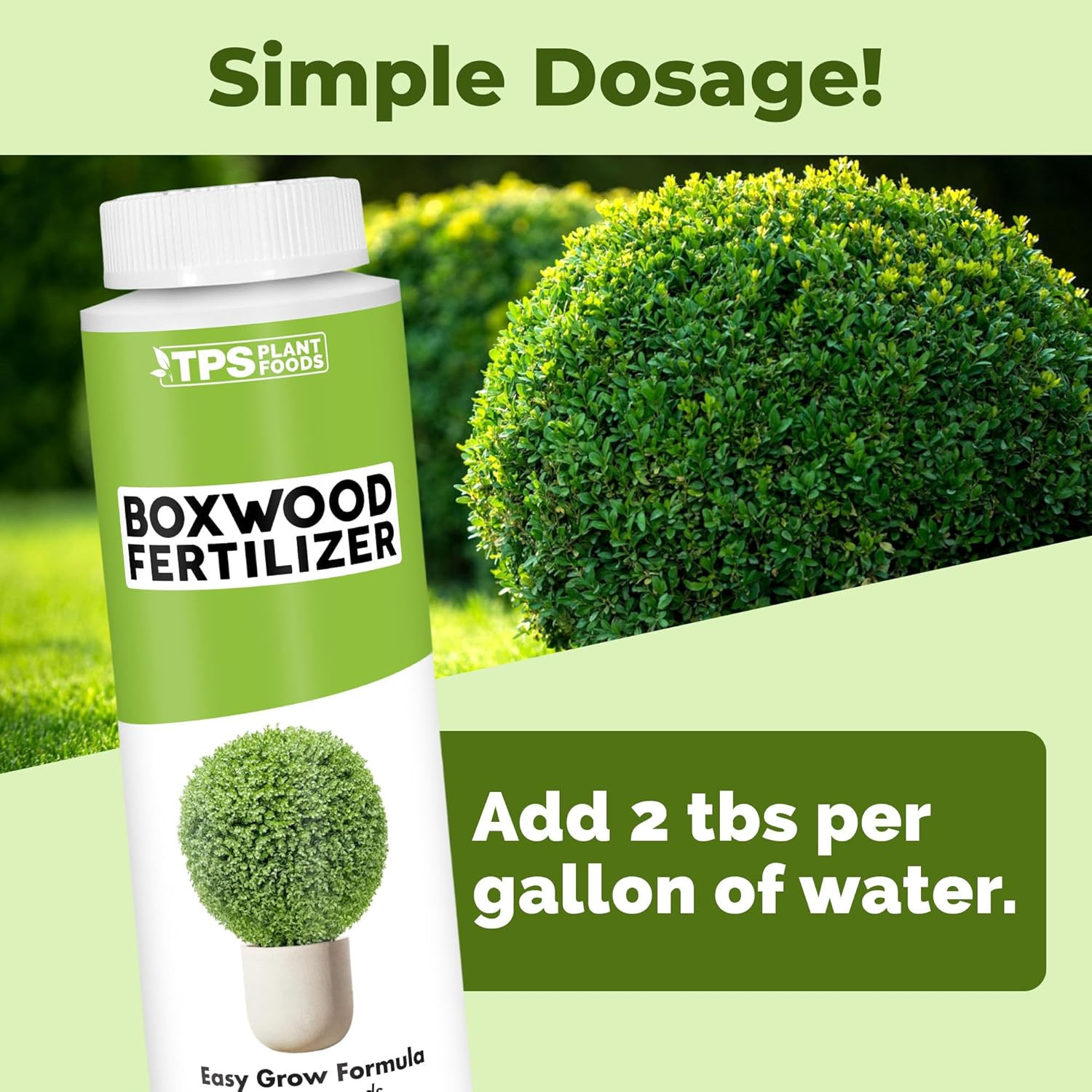 Boxwood Fertilizer – Liquid Plant Food for Dense Growth, Rich Green Foliage, & S