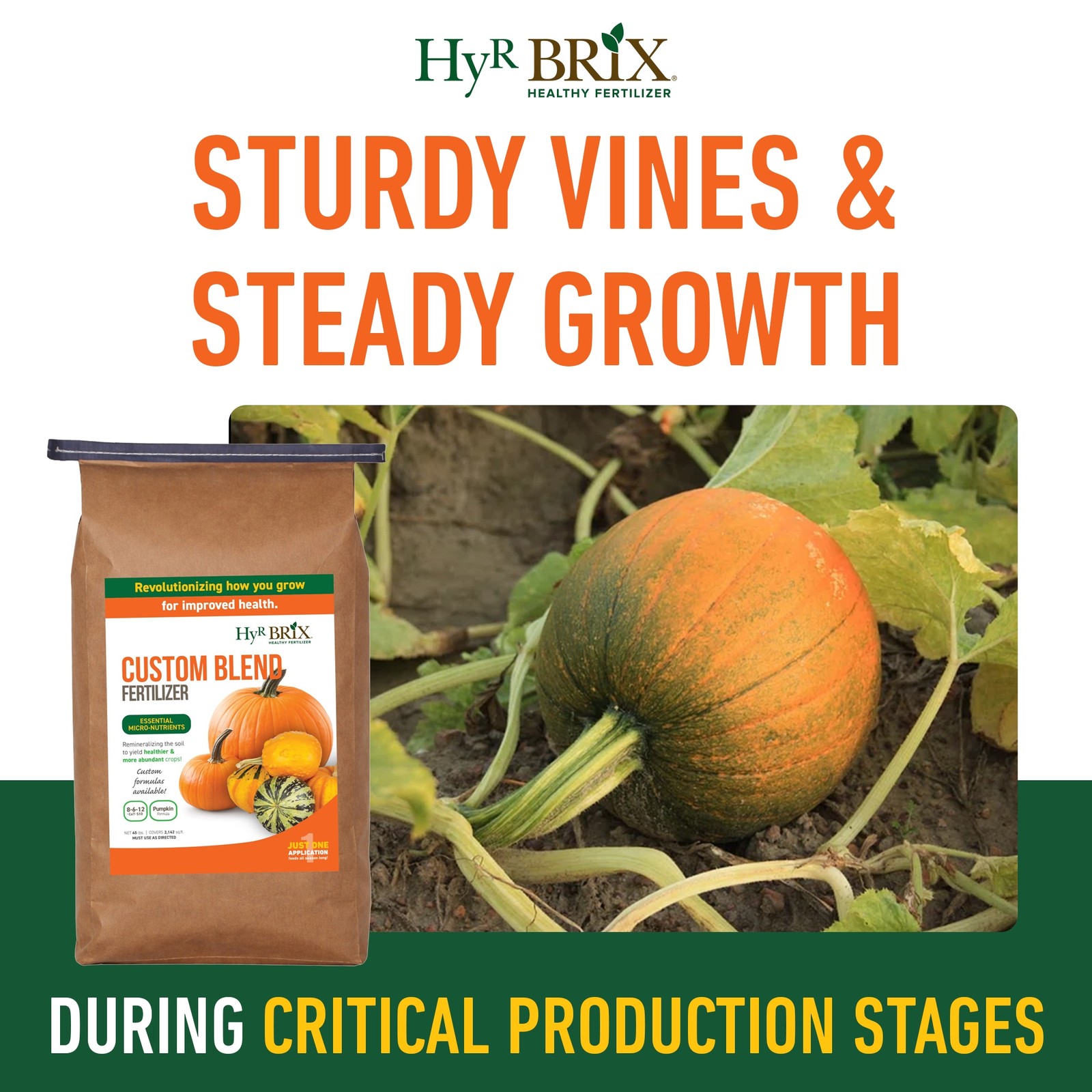 HyR BRIX 8-6-12 Pumpkin Fertilizer Plant Food, 45lb Bag (Covers 2,142 Sq Ft)