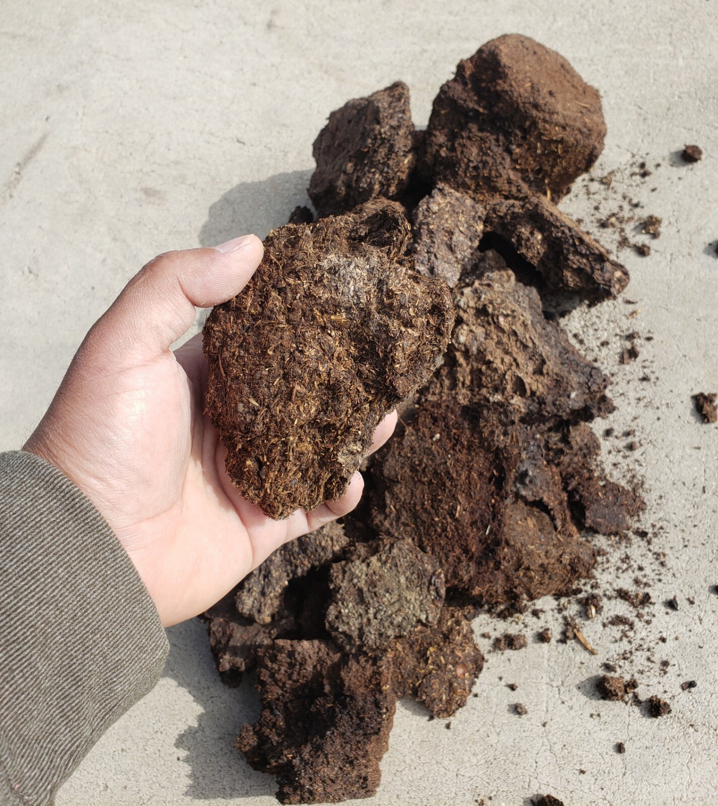 8 lbs. 100% Natural Cow Dung Chunks Fertilizer Compost Manure For Garden Dried