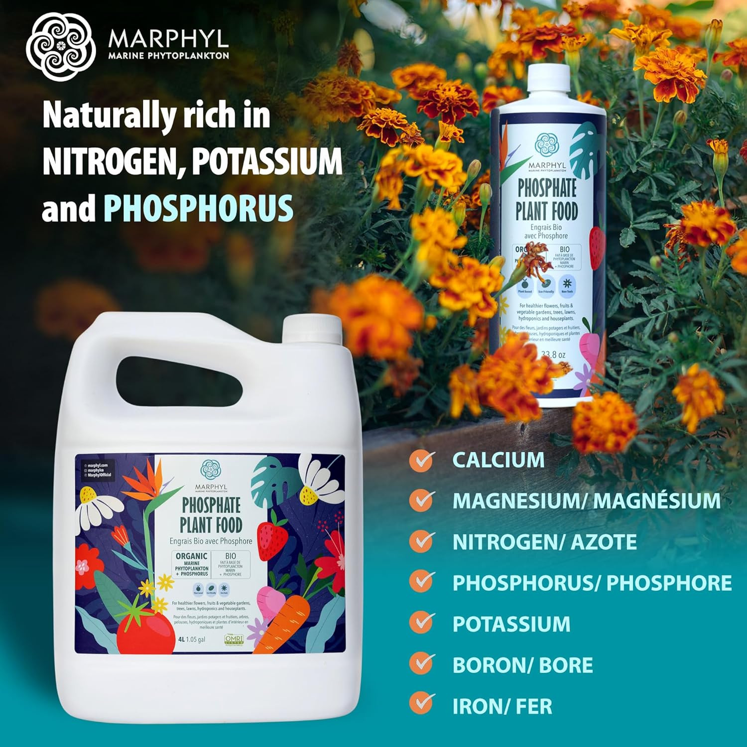 MARPHYL Organic Liquid Phosphate Soil Enhancer – Phosphorus Fertilizer for Root