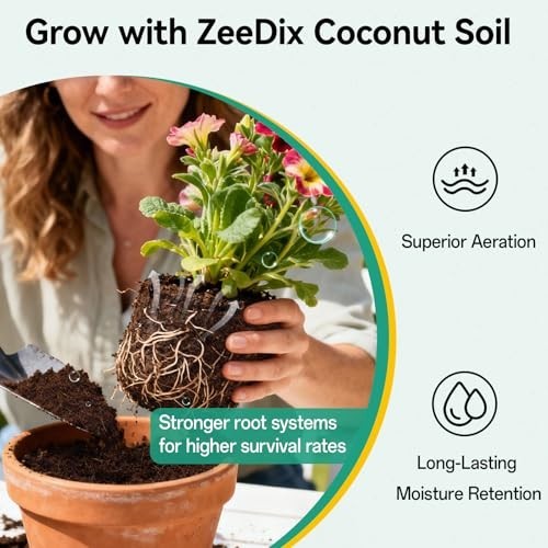 50 Pcs 30mm Organic Coco Coir Pellets – Compressed Potting Soil for Seed Starter