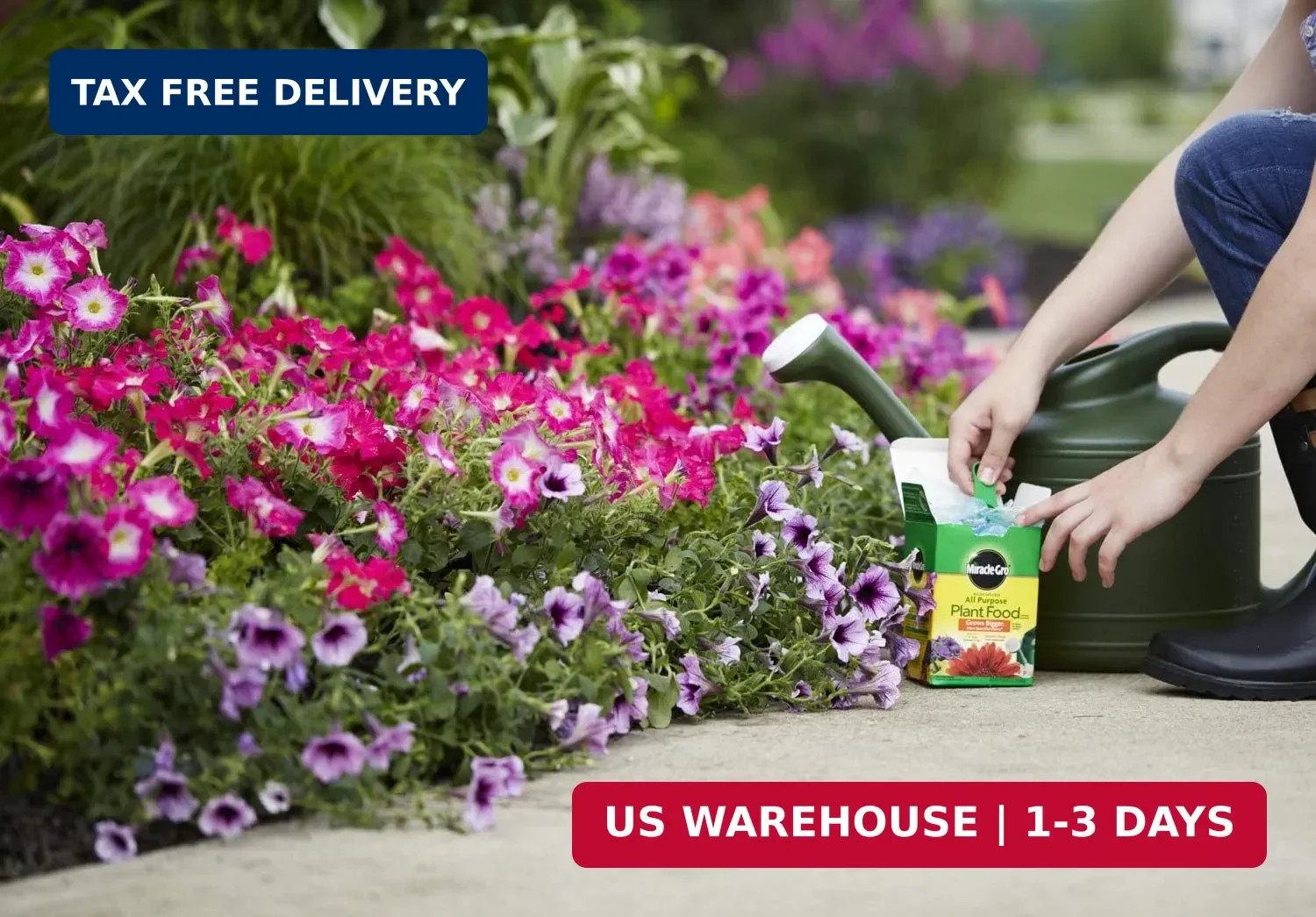 Water Soluble All Purpose Plant Food – Fertilizer For All Indoor or