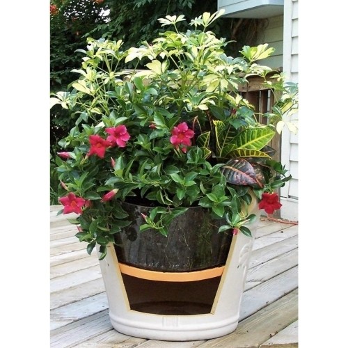 Bloem Living T6327 Up’s a Daisy Planter Insert, 17-Inch, Orange