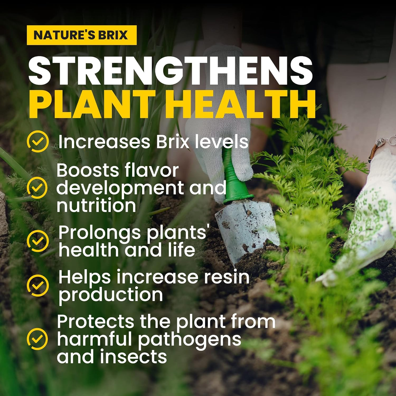 Auto Box Fertilizer Starter Bundle for All Growth Stages by GreenGro Biologicals