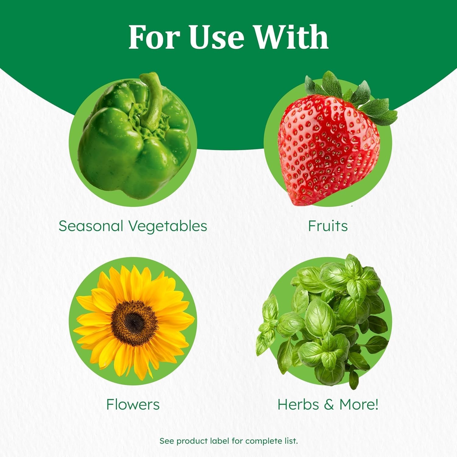 8 lb. Continuous Release Plant Fertilizer – Optimal Growth for Vegetables & More