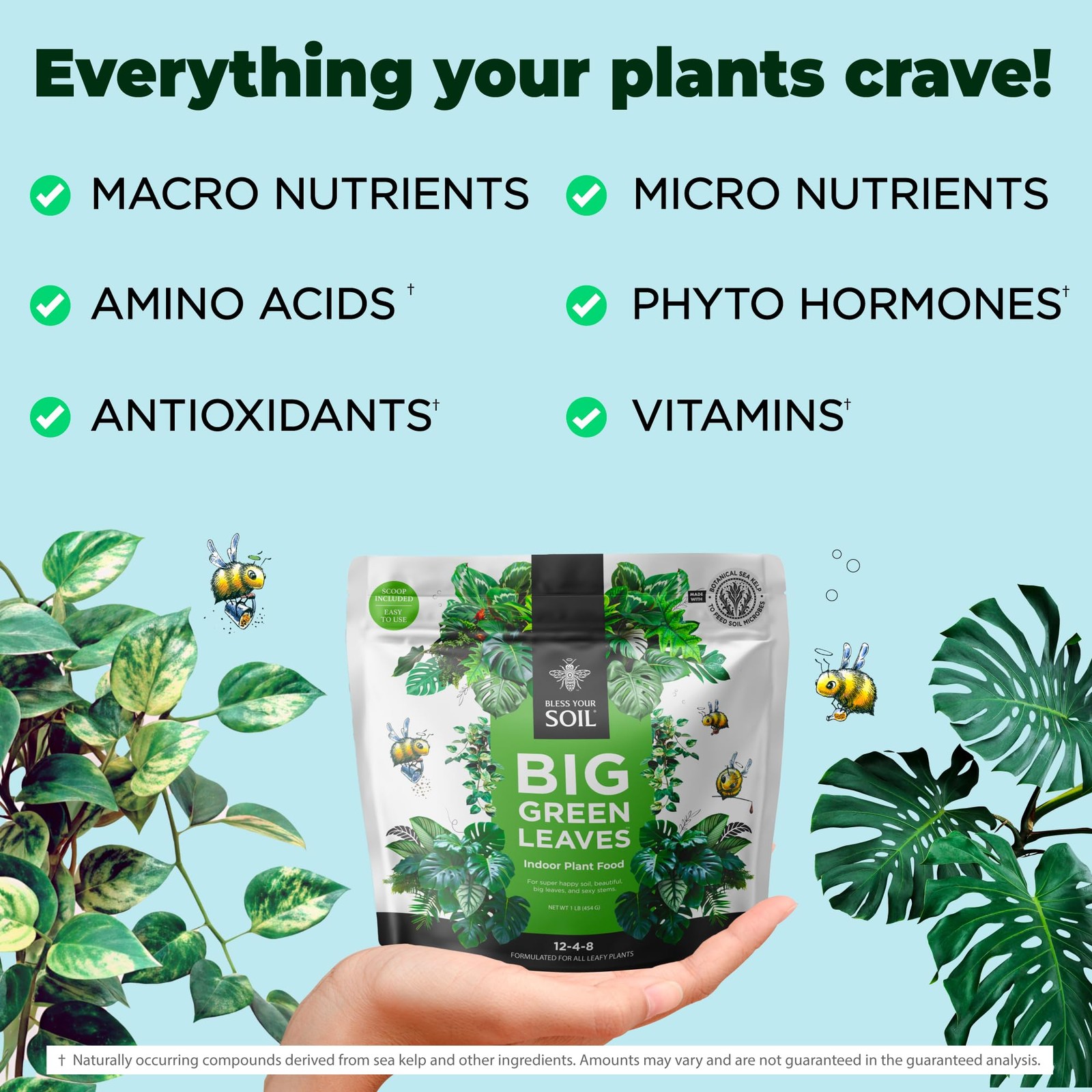 Big Green Leaves Indoor Plant Food – 4X Concentrated Houseplant Fertilizer wi…